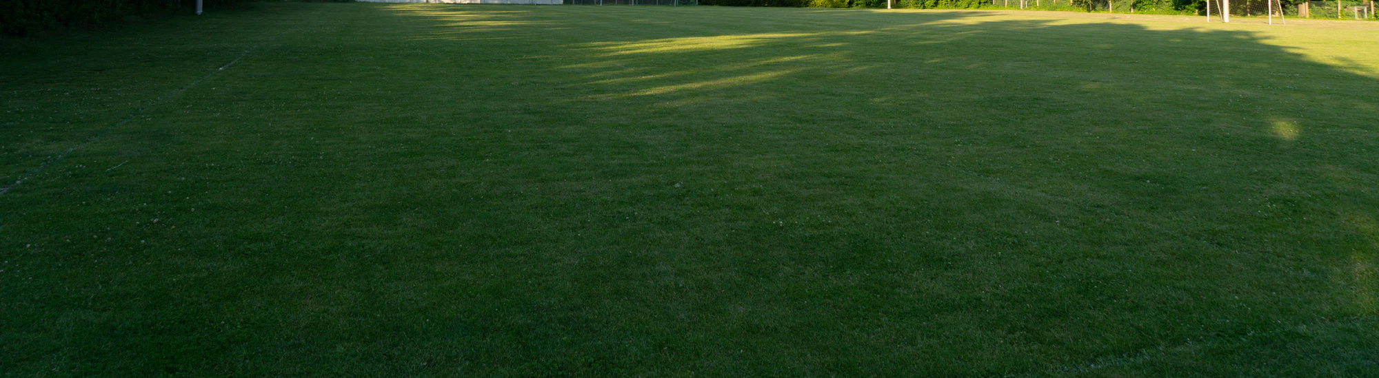 grass 040 — Descargar