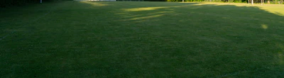 grass 040 — Descargar