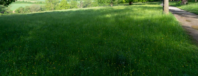 high grass 020 — Descargar