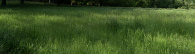 high grass 021 — Скачать