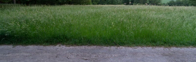 high grass 027 — Descargar