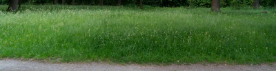 high grass 028 — Descargar