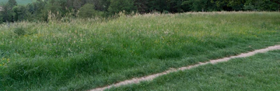 high grass 030 — Descargar