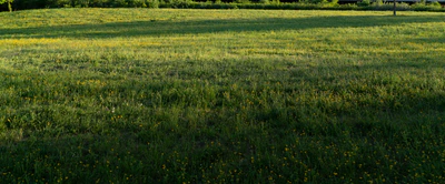 high grass 039 — Скачать