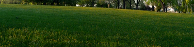 high grass 044 — Скачать