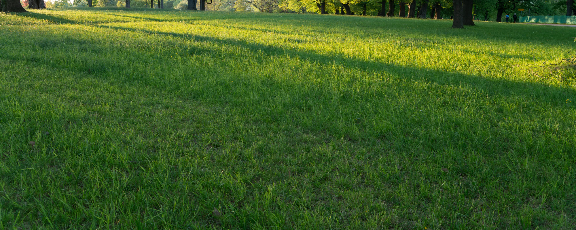 high grass 045 — Descargar
