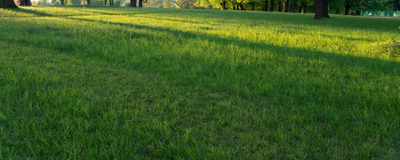 high grass 045 — Descargar