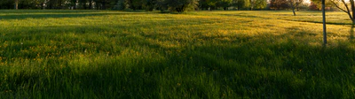 high grass 048 — Descargar
