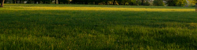 high grass 049 — Скачать