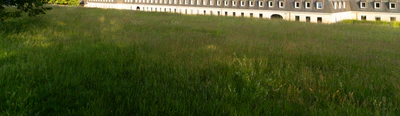 high grass 058 — Descargar