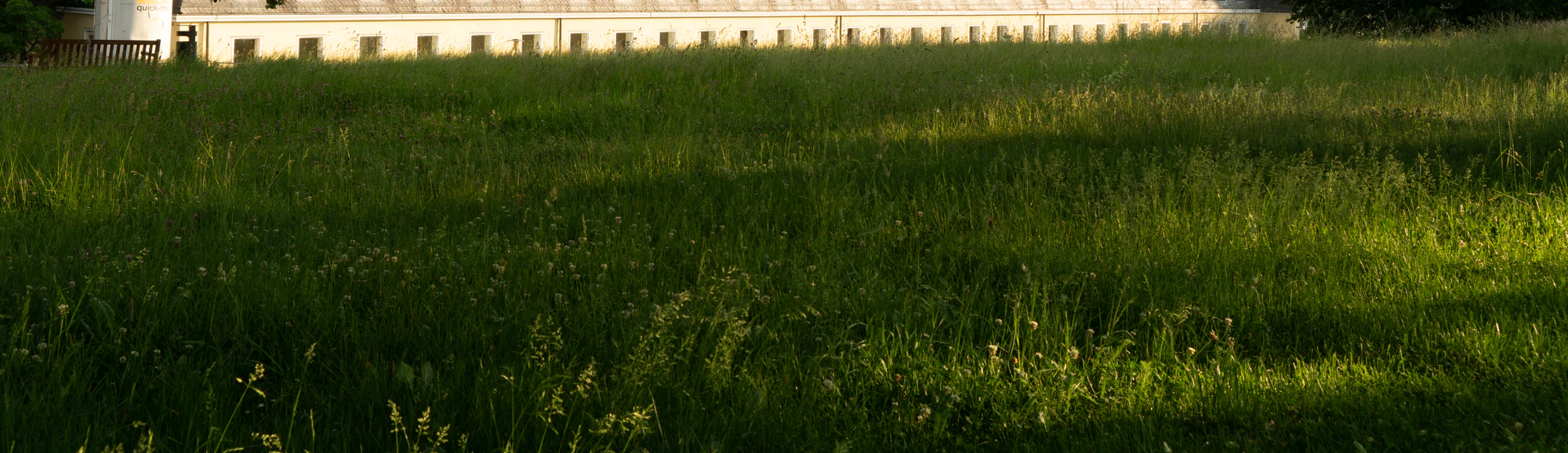 high grass 060 — Descargar
