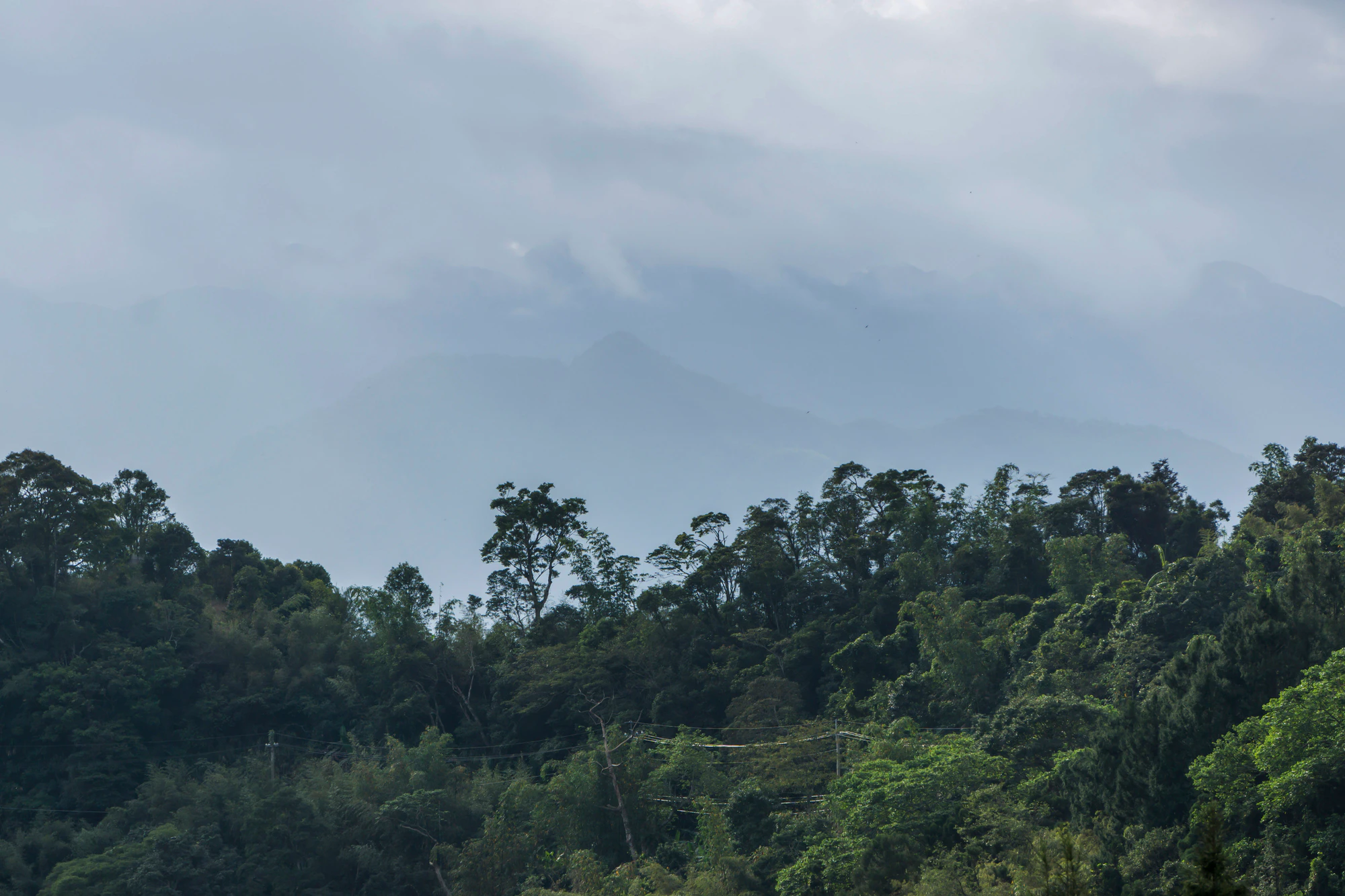 187 — Скачать