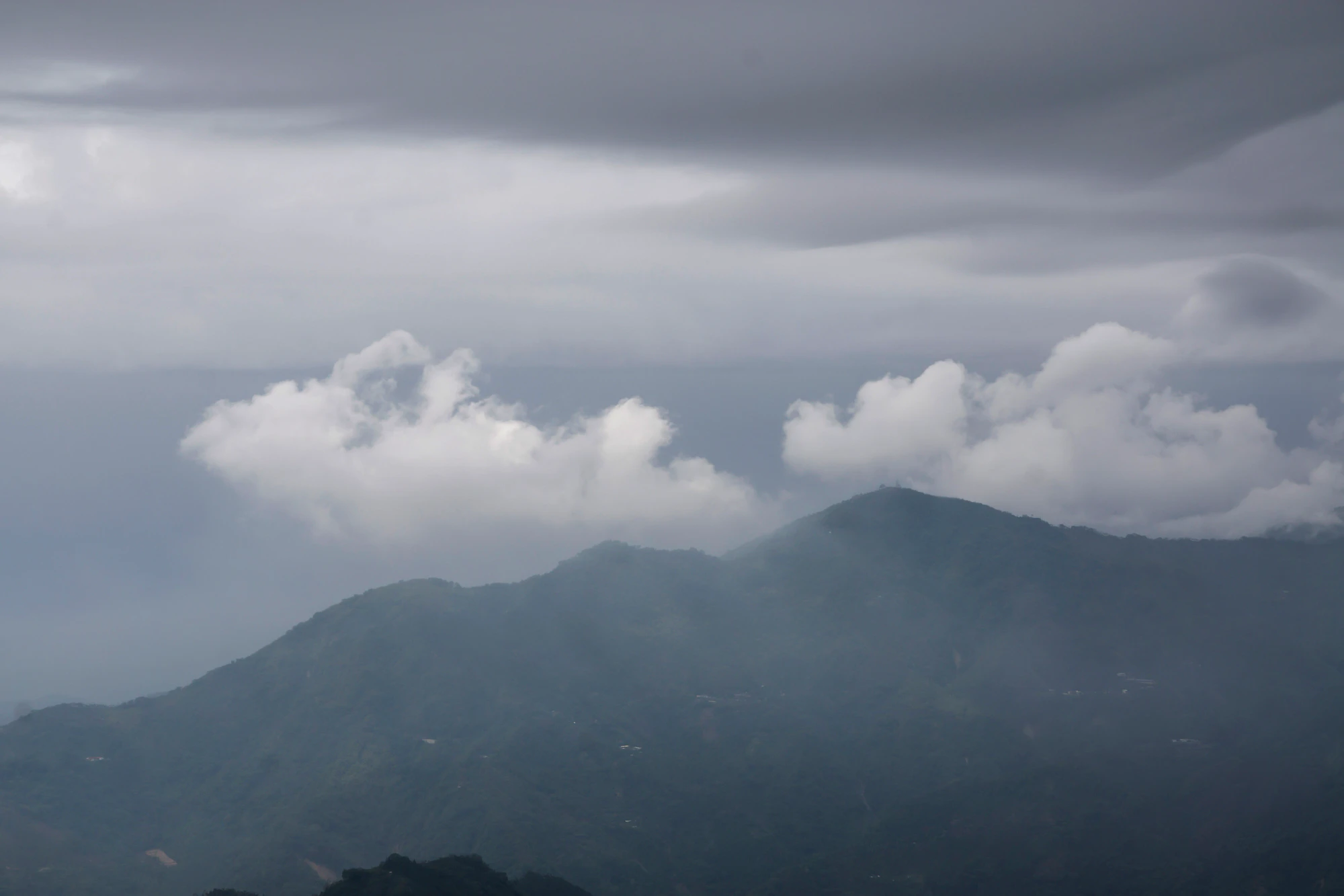 205 — Скачать