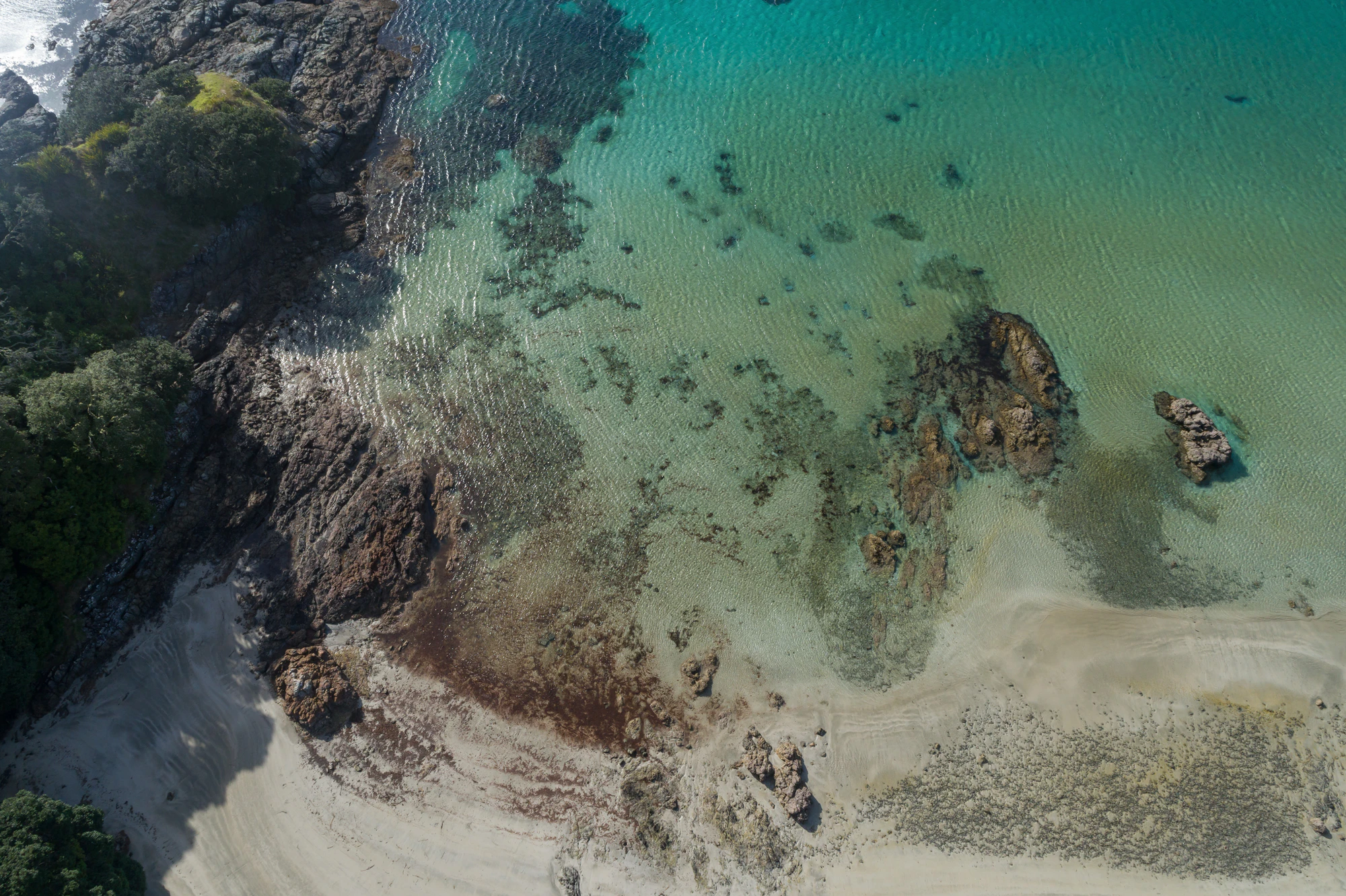 217 — Скачать