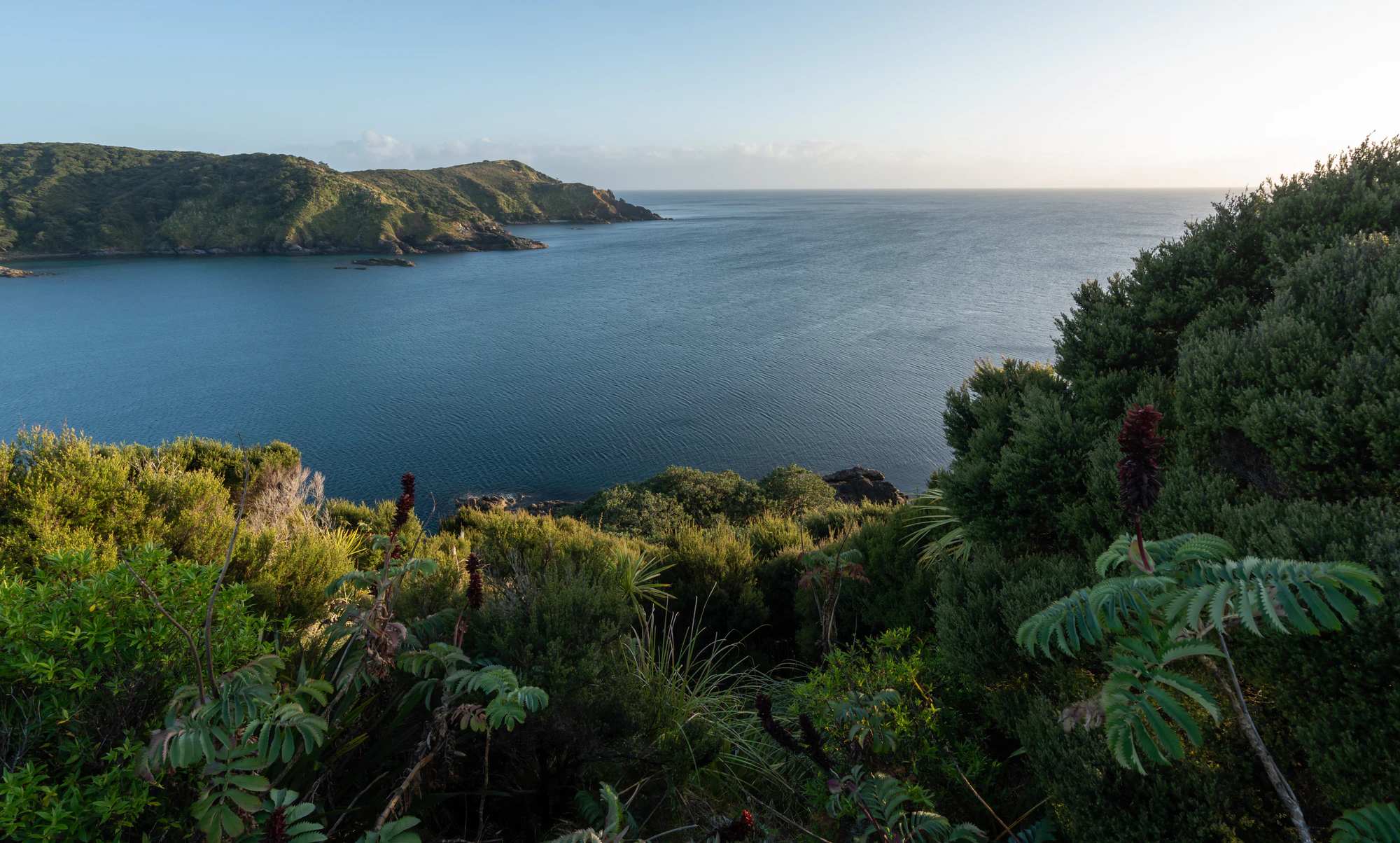 226 — Скачать