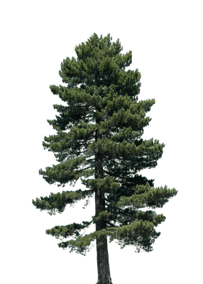 012 — Скачать