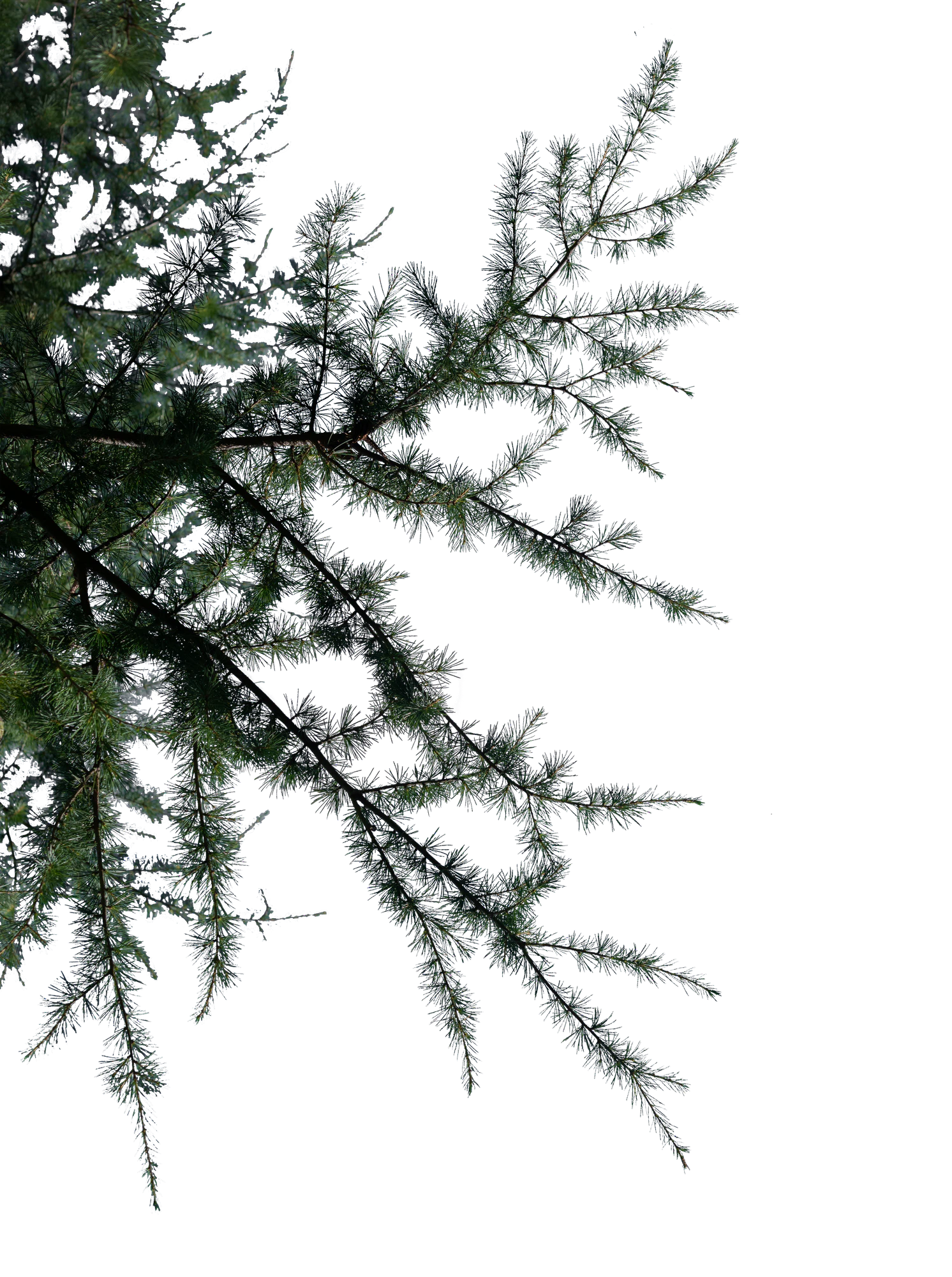 047 — Скачать