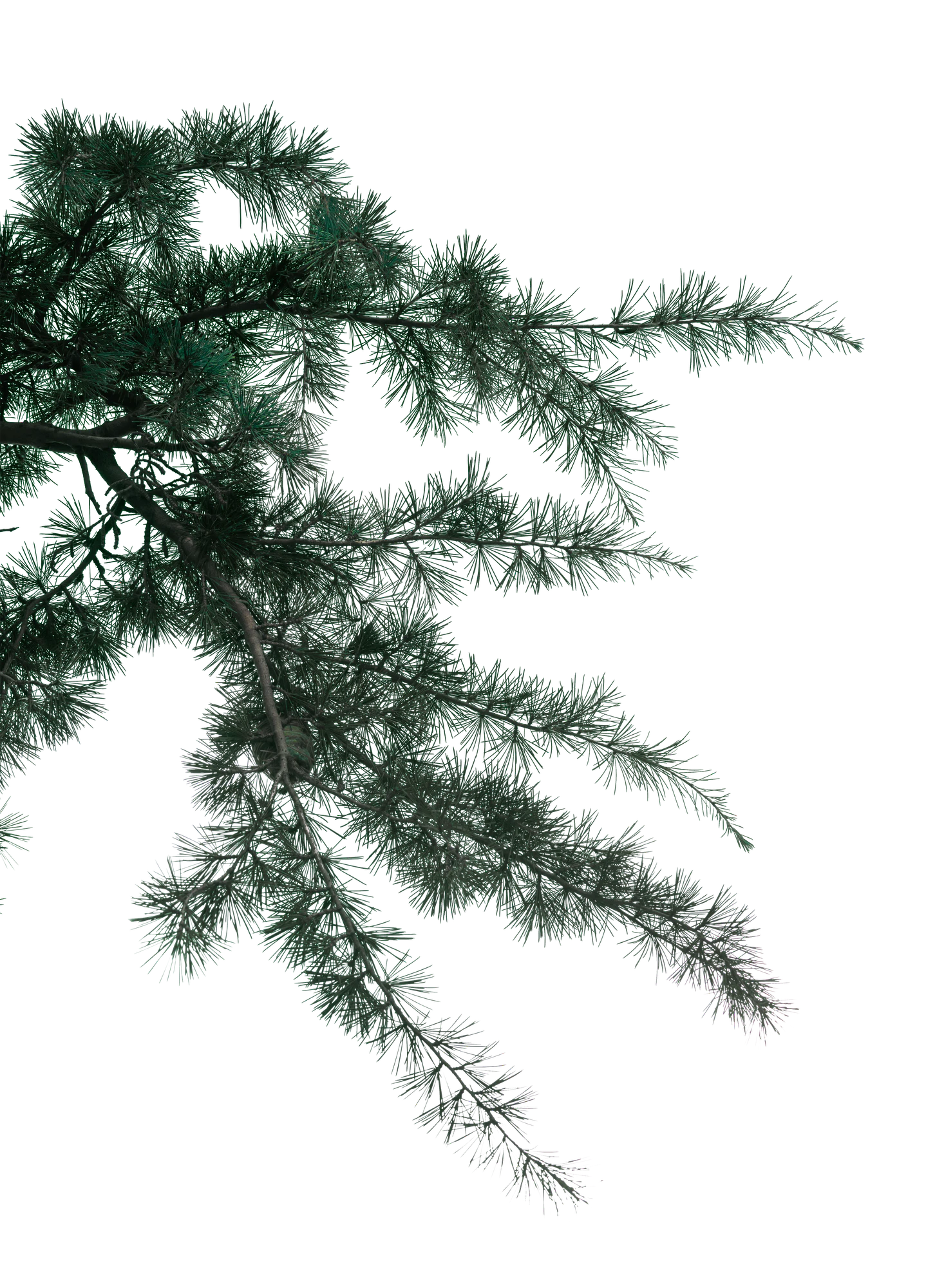 048 — Скачать