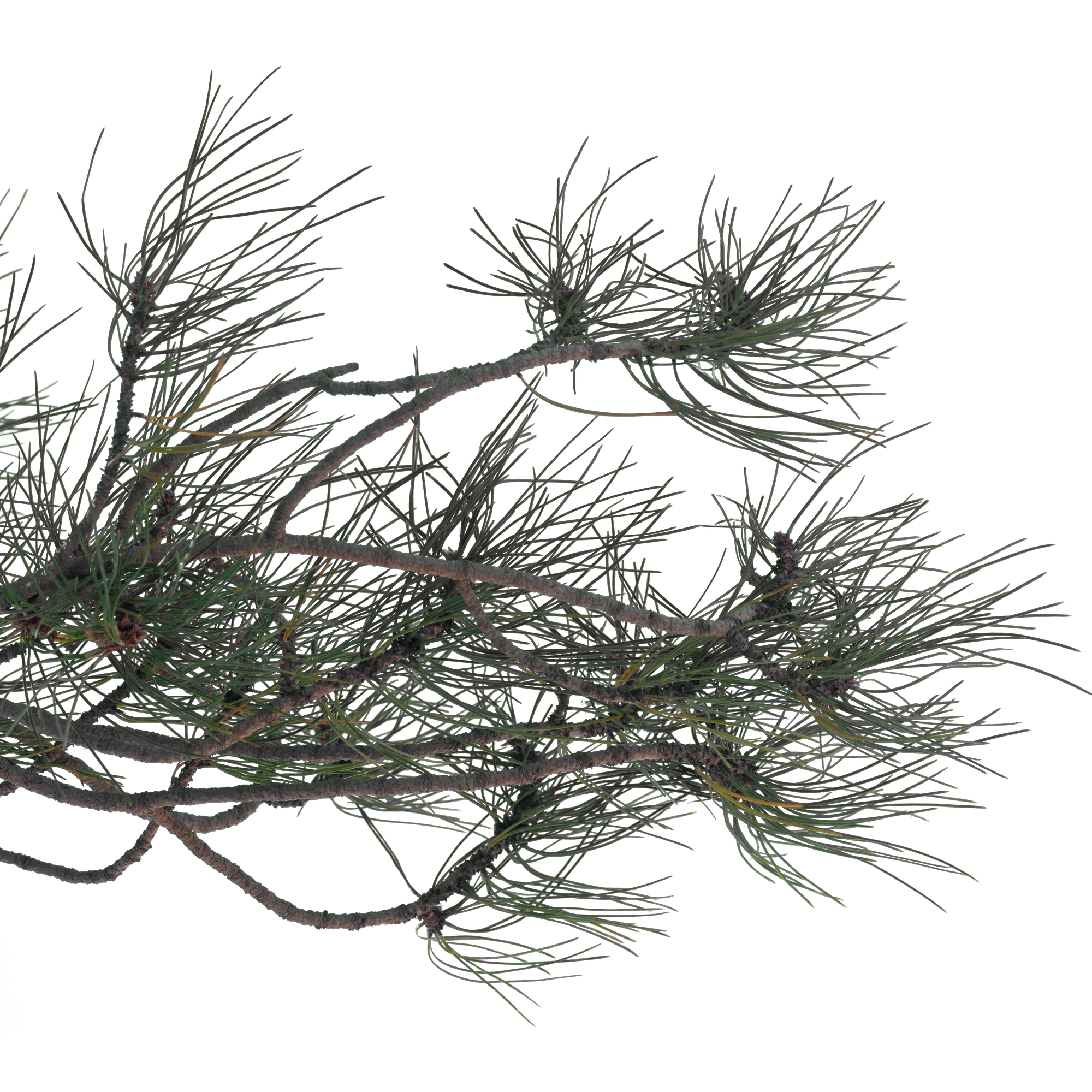 049 — Скачать