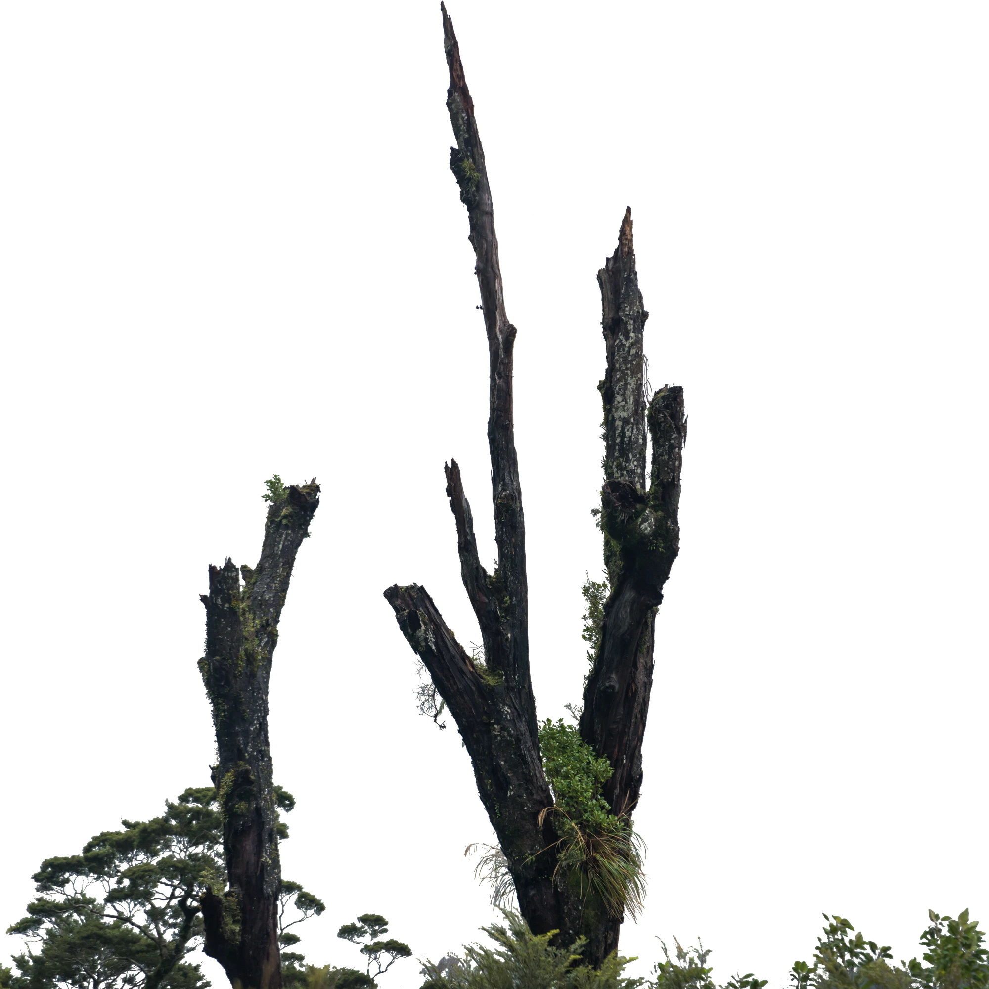 025 — Скачать