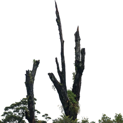 025 — Скачать