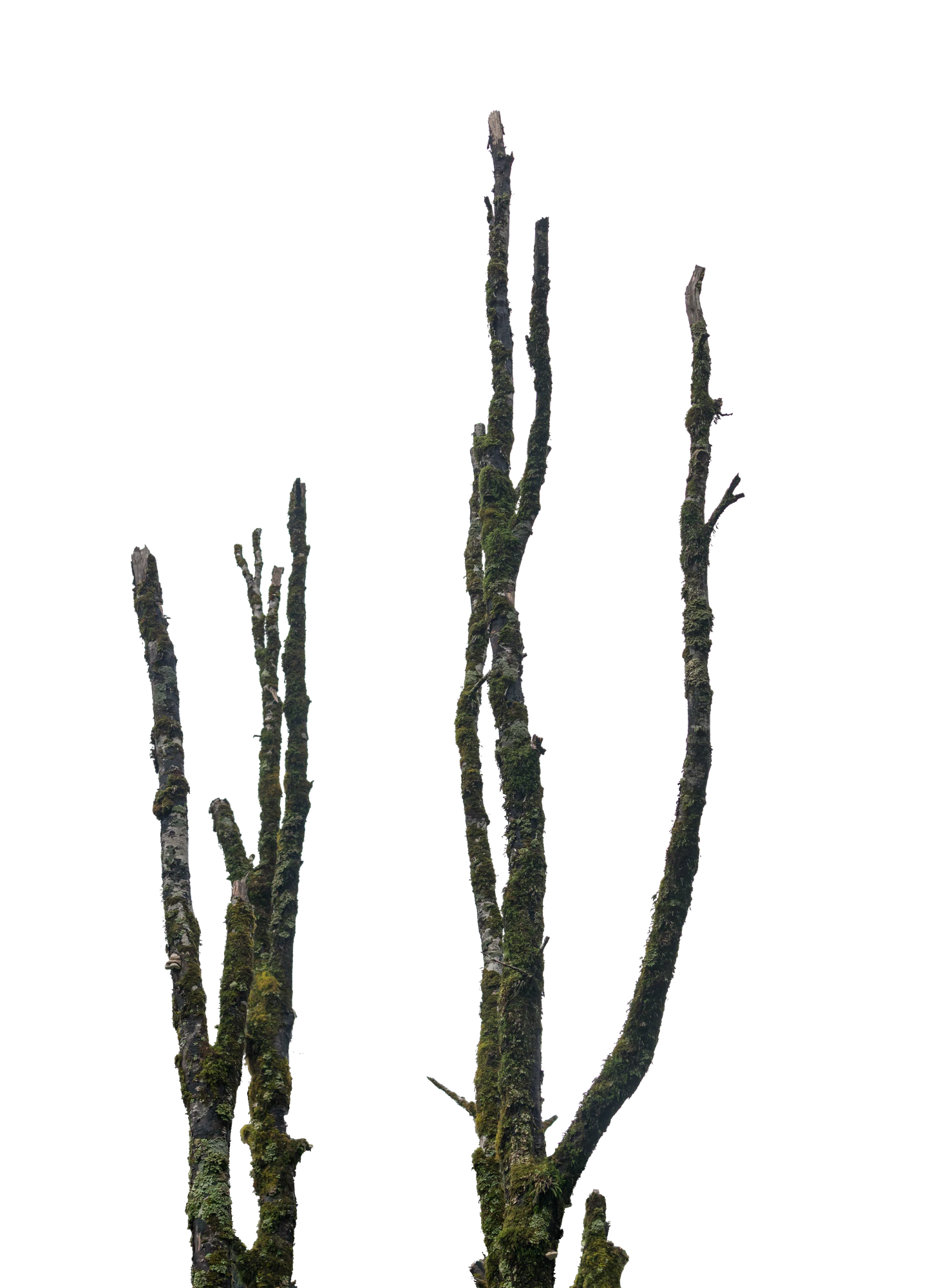 027 — Скачать