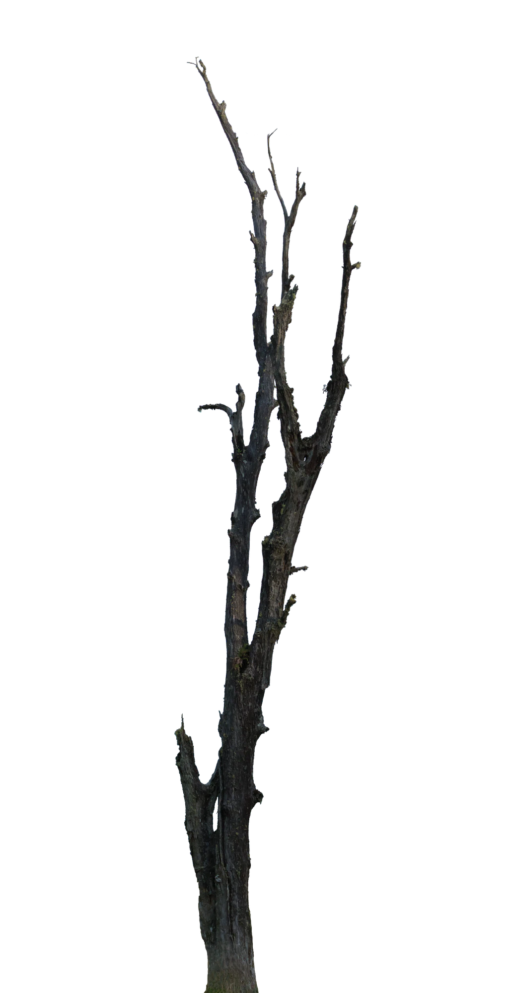 028 — Скачать