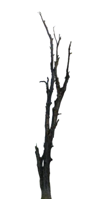 028 — скачать