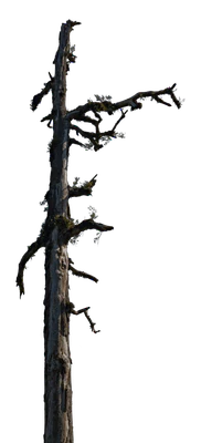 029 — скачать