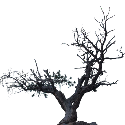 030 — скачать