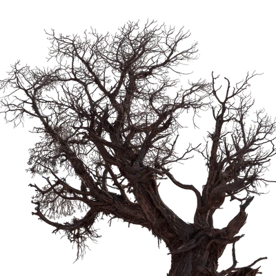 031 — скачать