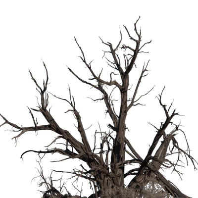 032 — скачать