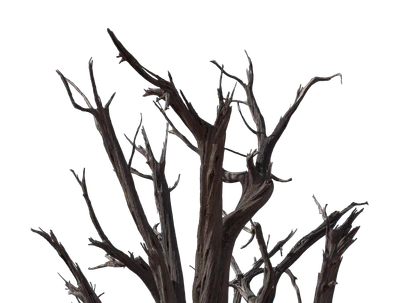 033 — скачать