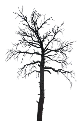 034 — скачать