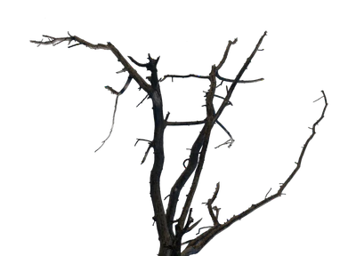 035 — скачать