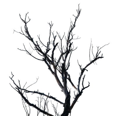 036 — скачать