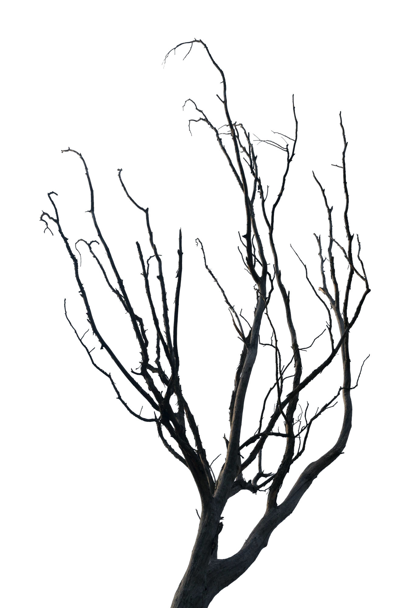 037 — Скачать