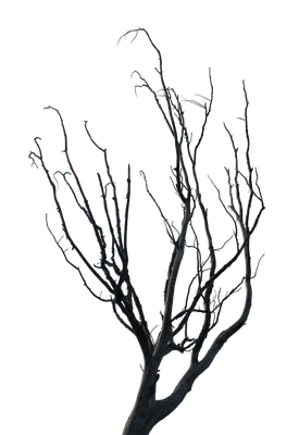 037 — скачать