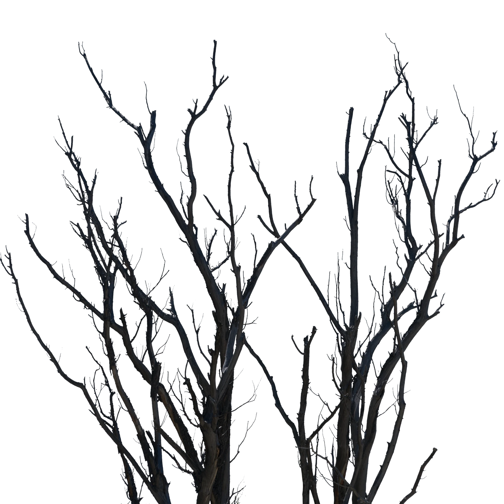 038 — Скачать