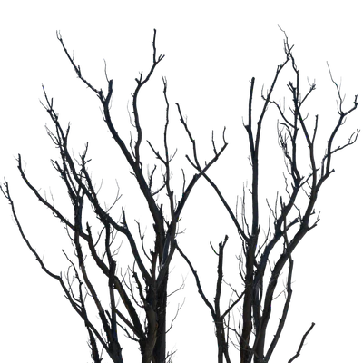 038 — скачать