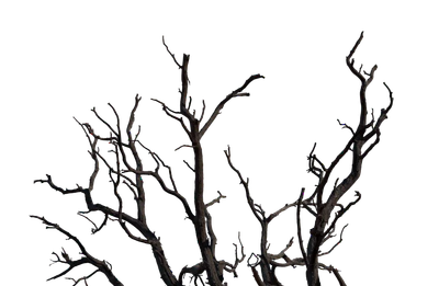 039 — скачать