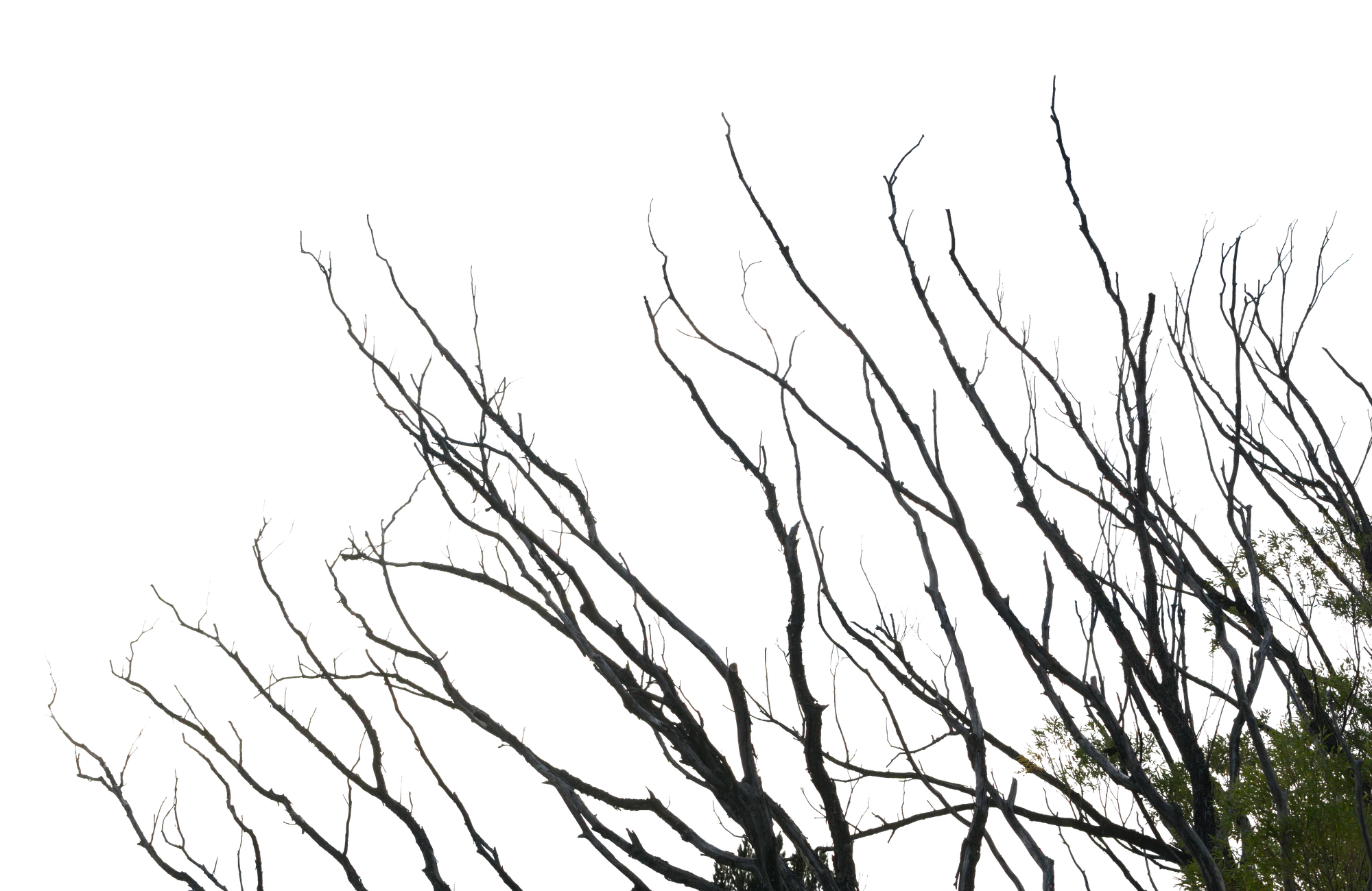 040 — Скачать