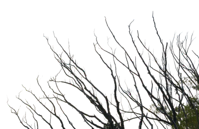 040 — скачать