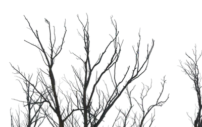 041 — скачать