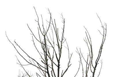 042 — скачать