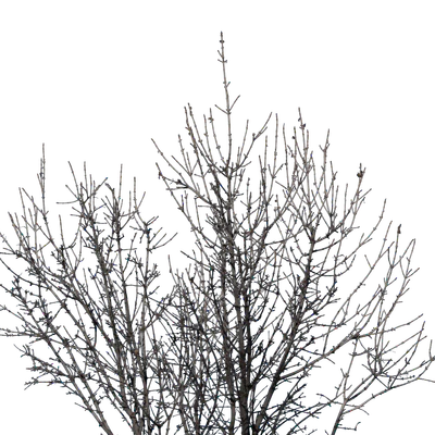 043 — скачать