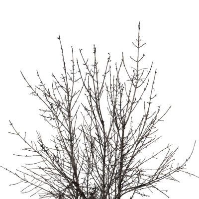 044 — скачать