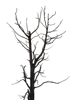 045 — скачать