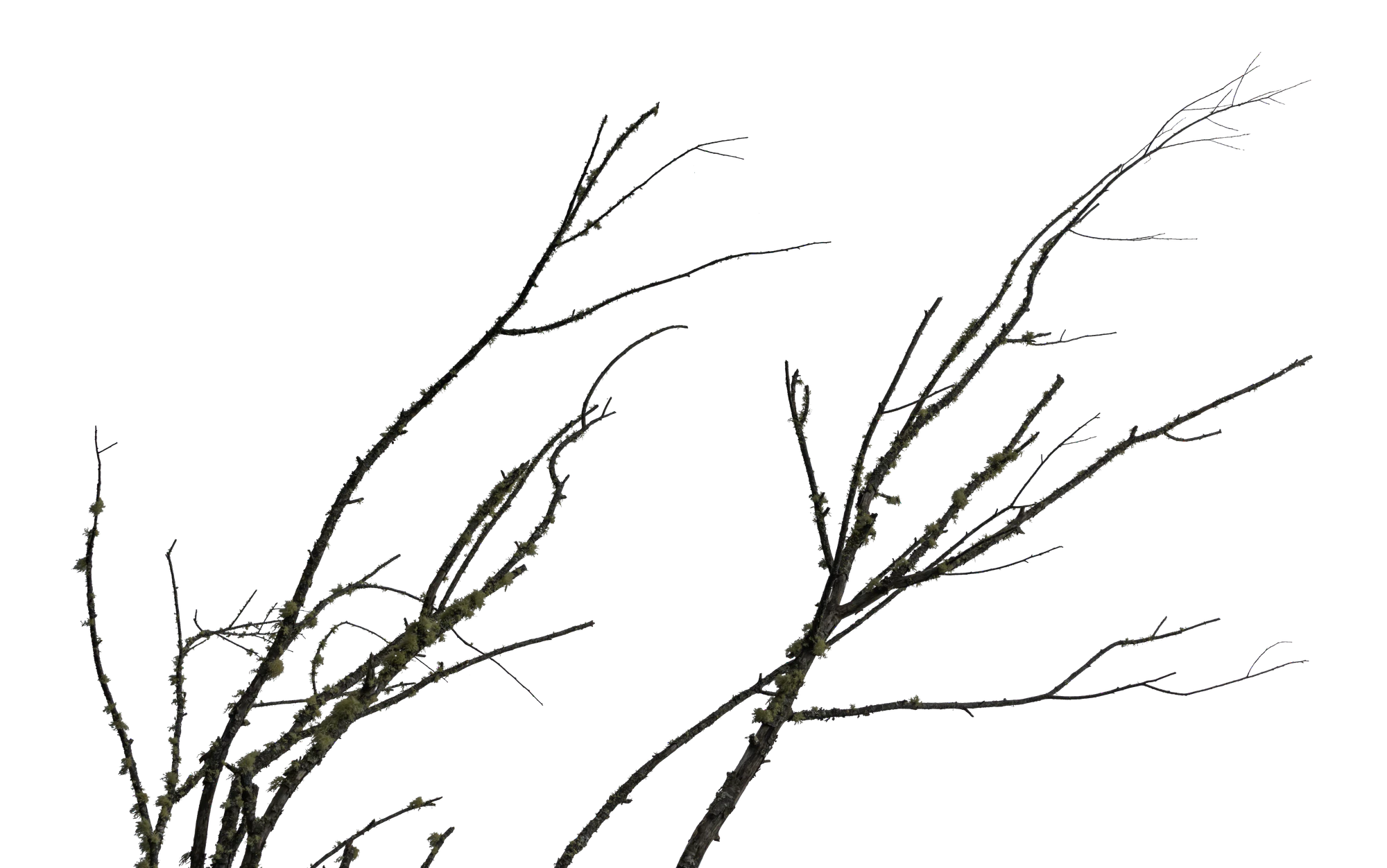 046 — Скачать