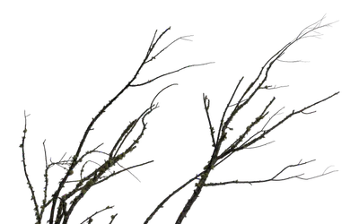 046 — скачать